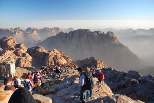 Mt Sinai